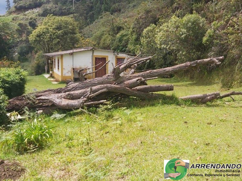 Casa en venta Antioquia Guarne Centro 70 m2 Habitaciones 4 Baños 0 Garajes 1 Precio $330000000