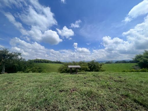 Finca en venta Risaralda Pereira Otros 130 m2 Habitaciones 3 Baños 2 Garajes 1 Precio $5500000000