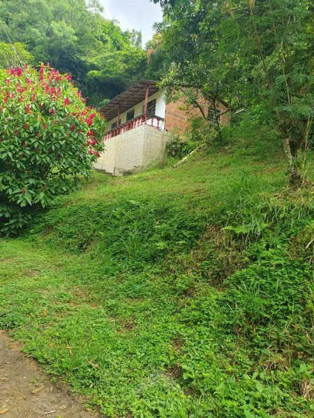 Casa en venta Antioquia Barbosa Barbosa 3300 m2 Habitaciones 6 Baños 2 Garajes 0 Precio $450000000