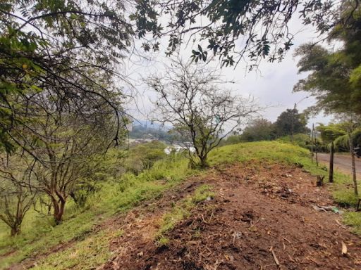 Lote en venta Antioquia La Estrella Ancón San Martín 10000 m2 Habitaciones 0 Baños 0 Garajes 0 Precio $7500000000