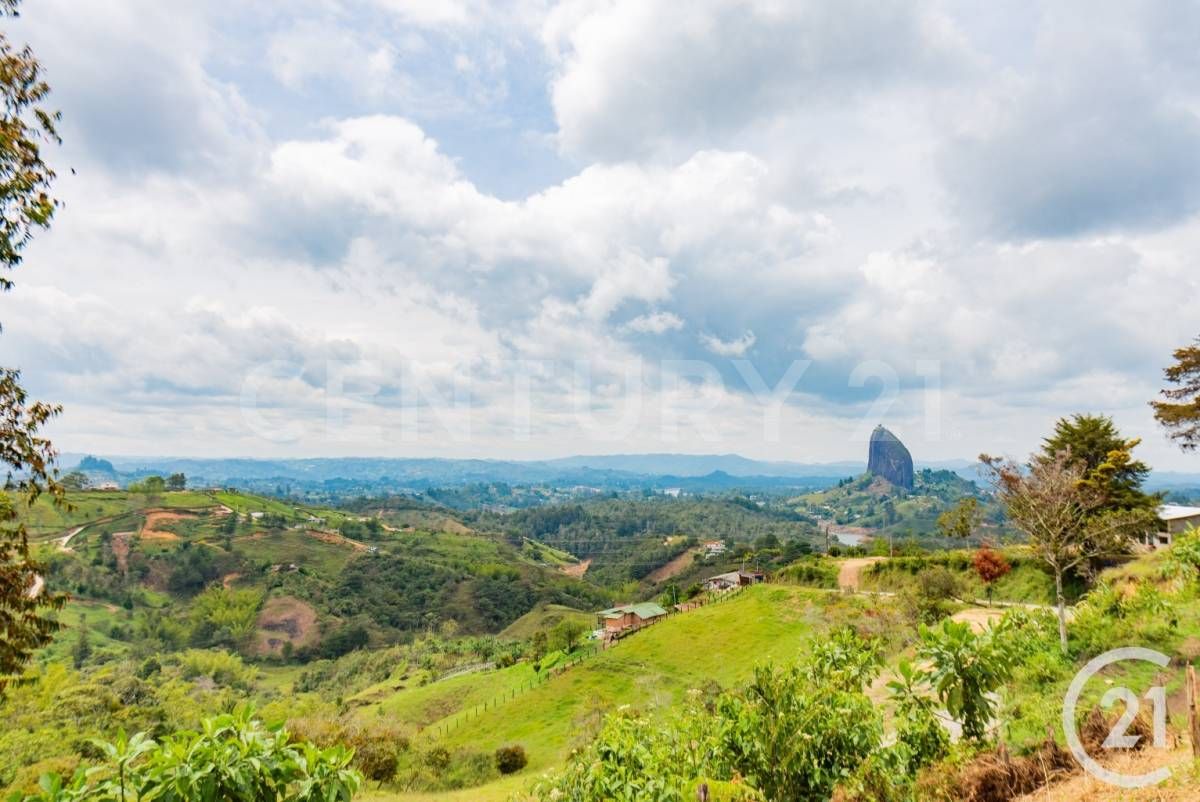Lote en venta Antioquia Guatape Guatape 2500 m2 Habitaciones 0 Baños 1 Garajes 0 Precio $306000000