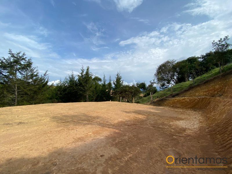 Lote en venta Antioquia Rionegro Centro 1000 m2 Habitaciones 0 Baños 0 Garajes 0 Precio $150000000