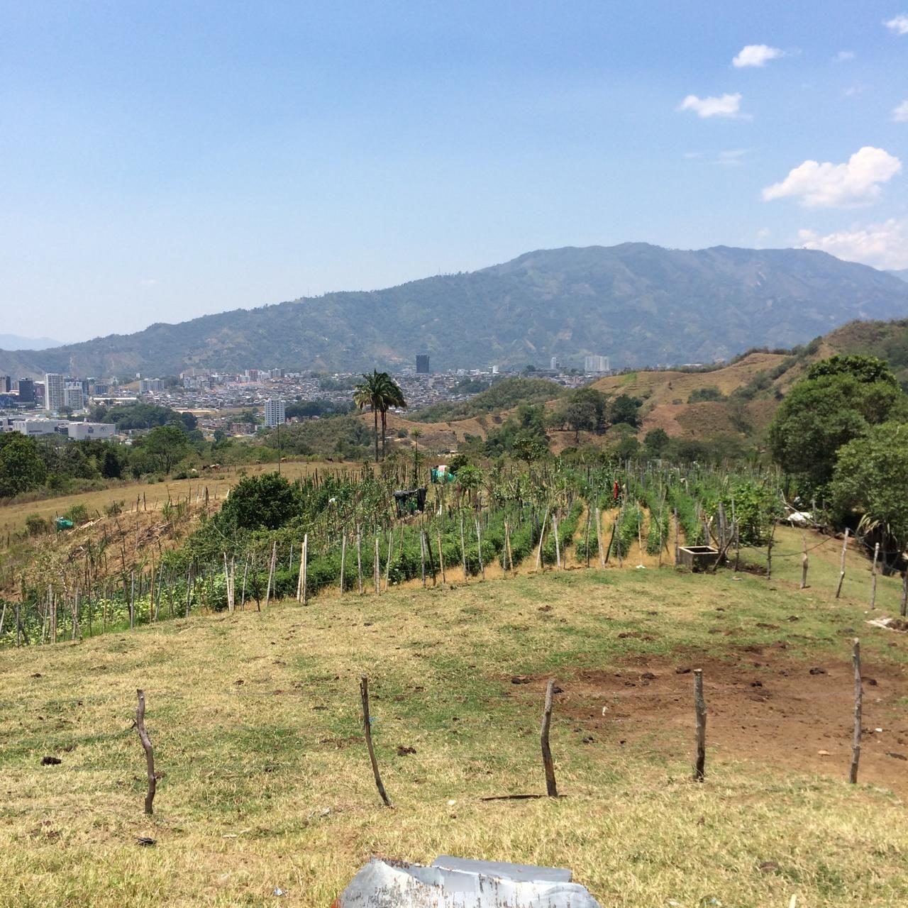 Lote Urbano en venta Tolima Ibagué Ub Ibague 2000 0 m2 Habitaciones 0 Baños 10 Garajes 1 Precio $10000000000