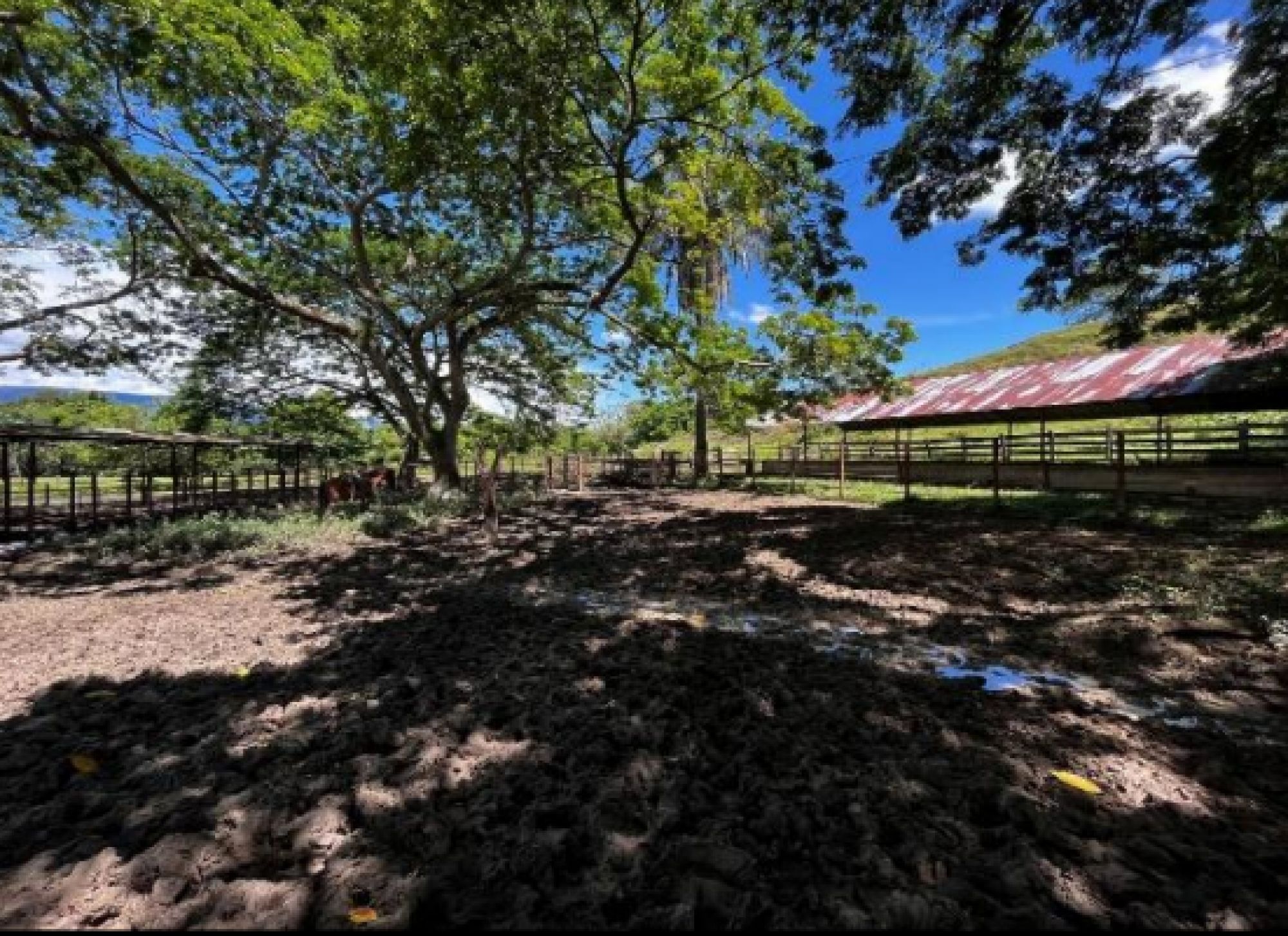 Lote en venta Tolima Carmen De Apicalá Carmen De Apicalá 550 m2 Habitaciones 0 Baños 0 Garajes 0 Precio $1510000000