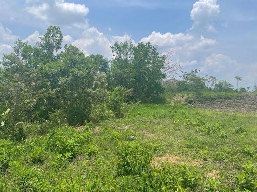 Lote en venta Risaralda Pereira San Jose 2067 m2 Habitaciones 0 Baños 10 Garajes 1 Precio $665000000