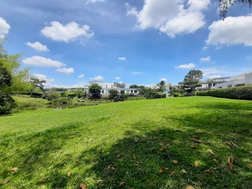 Lote en venta Risaralda Pereira Pereira 3000 m2 Habitaciones 0 Baños 10 Garajes 1 Precio $1050000000