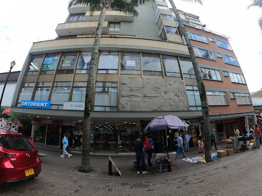 Apartamento en venta Caldas Manizales El Centro 170 m2 Habitaciones 4 Baños 4 Garajes 1 Precio $500000000