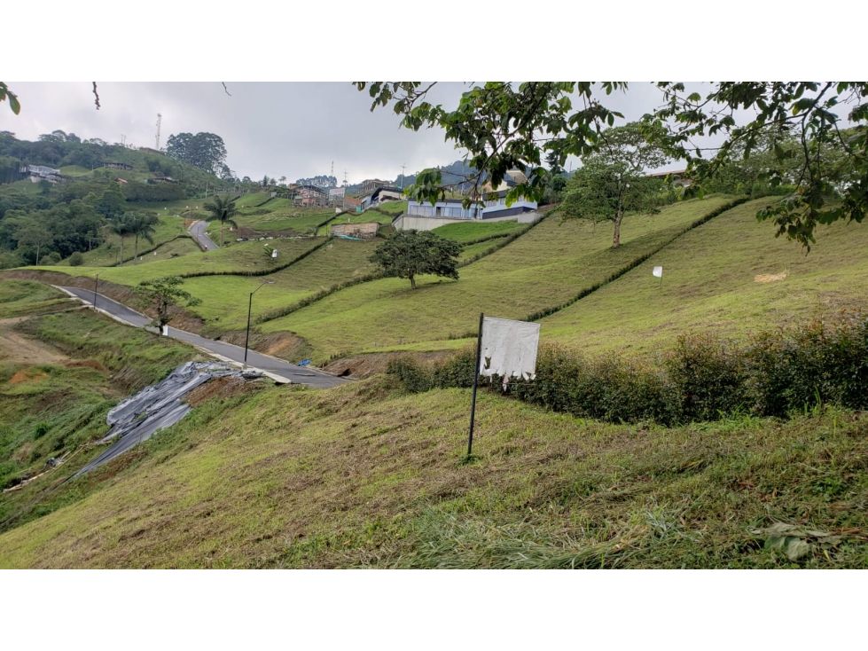 Lote en venta Risaralda Pereira San Jose 2627 m2 Habitaciones 0 Baños 0 Garajes 0 Precio $370000000