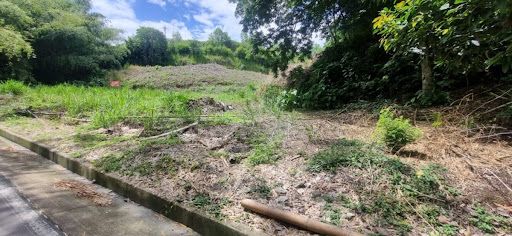 Lote en venta Risaralda Pereira Pereira 5800 m2 Habitaciones 0 Baños 10 Garajes 1 Precio $1740000000