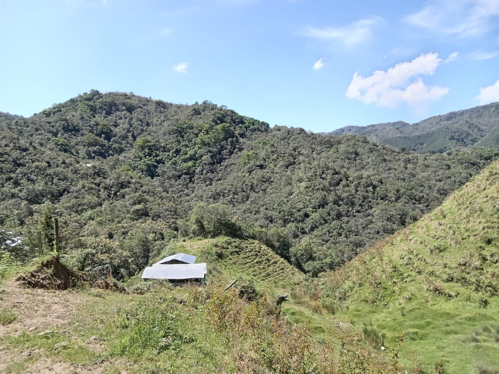 Lote Rural en venta Antioquia Abejorral Nueva Villa Aburra 200 m2 Habitaciones 0 Baños 10 Garajes 1 Precio $1000000000
