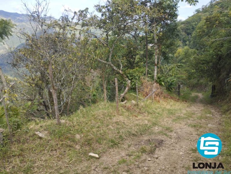 Lote en venta Antioquia Montebello Montebello 220 m2 Habitaciones 0 Baños 10 Garajes 1 Precio $50000000