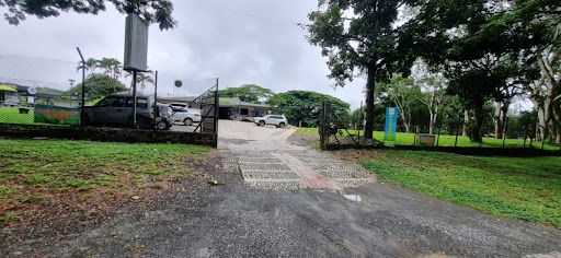 Local en arriendo Risaralda Pereira Pereira 15 m2 Habitaciones 0 Baños 2 Garajes 0 Precio $2000000
