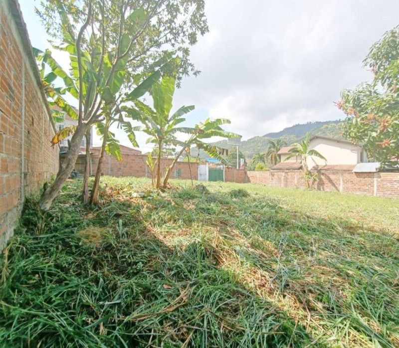 Lote en arriendo Santander Piedecuesta Piedecuesta 800 m2 Habitaciones 0 Baños 0 Garajes 0 Precio $3000000