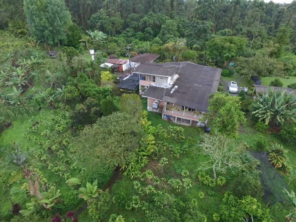 Finca en venta Risaralda Pereira Pereira 480 m2 Habitaciones 5 Baños 4 Garajes 4 Precio $1100000000