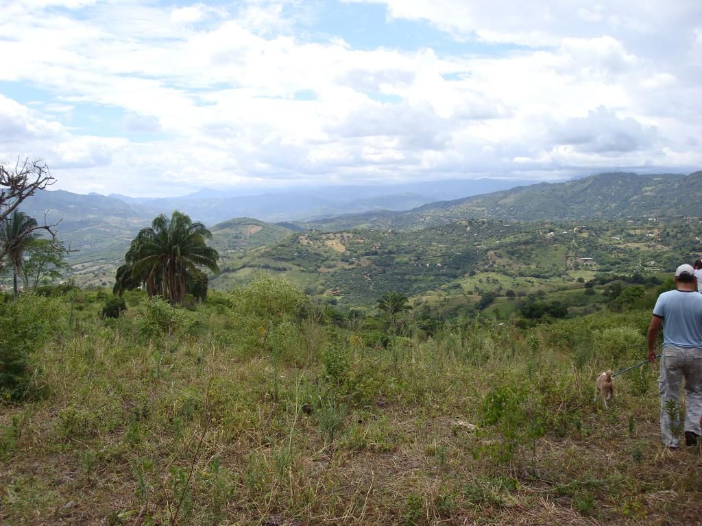 Finca en venta Cundinamarca Anapoima Anapoima 100 m2 Habitaciones 0 Baños 0 Garajes 0 Precio $3324000000
