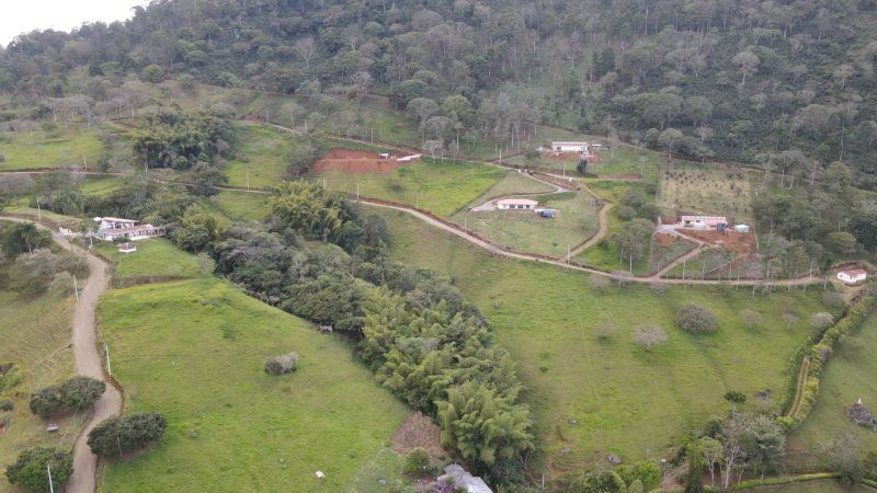 Lote en venta Antioquia Tarso Tarso 4764 m2 Habitaciones 0 Baños 0 Garajes 0 Precio $420000000