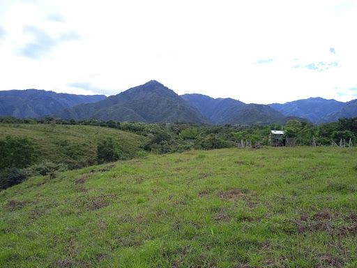 Lote en venta Huila Rivera Rivera 1 m2 Habitaciones 0 Baños 10 Garajes 1 Precio $800000000