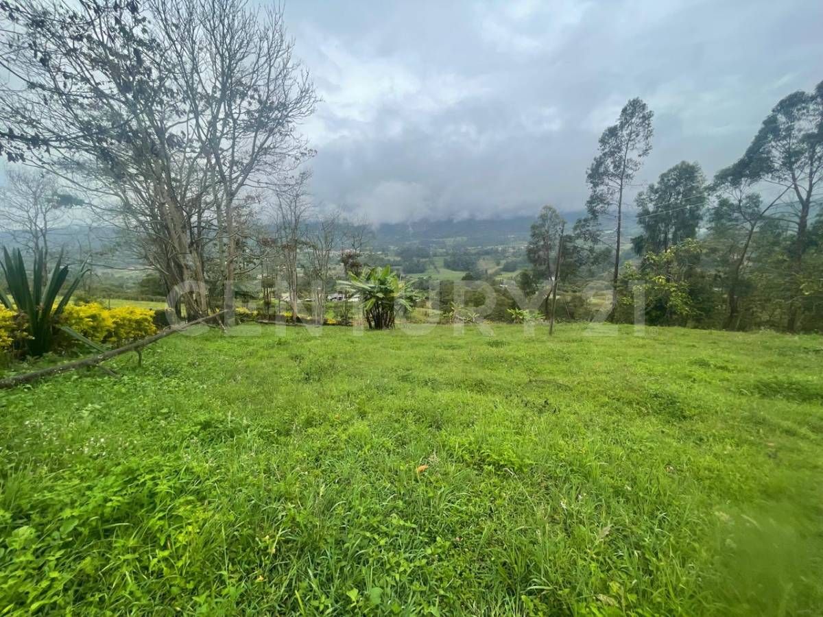 Lote en venta Cundinamarca Silvania Silvania 15570 m2 Habitaciones 0 Baños 1 Garajes 6 Precio $420000000