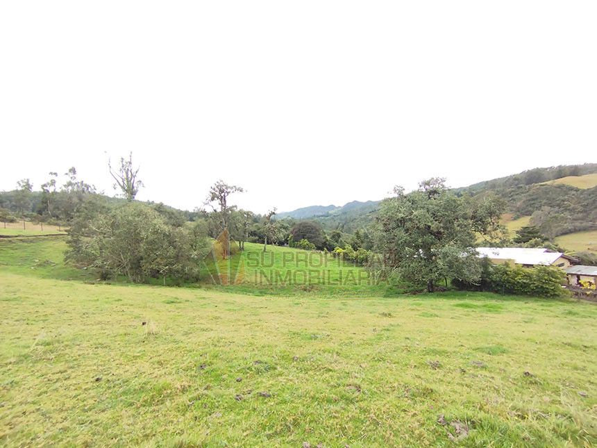 Lote en venta Cundinamarca La Calera La Calera 0 m2 Habitaciones 0 Baños 0 Garajes 0 Precio $630000000