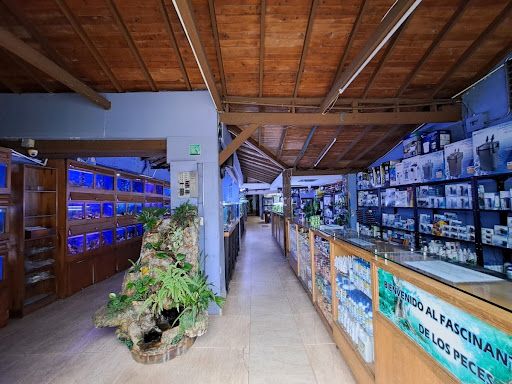 Local en arriendo Antioquia Medellín Astorga 350 m2 Habitaciones 0 Baños 2 Garajes 2 Precio $27000000