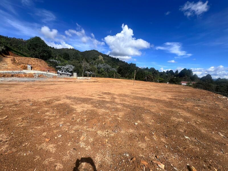Lote en venta Antioquia Guarne Guarne 1834 m2 Habitaciones 0 Baños 10 Garajes 1 Precio $458500000