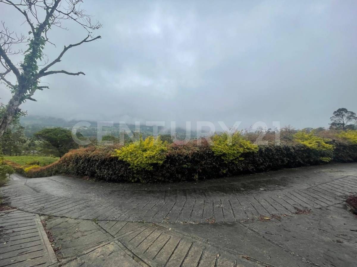 Lote en venta Cundinamarca Silvania Silvania 11500 m2 Habitaciones 0 Baños 1 Garajes 0 Precio $300000000