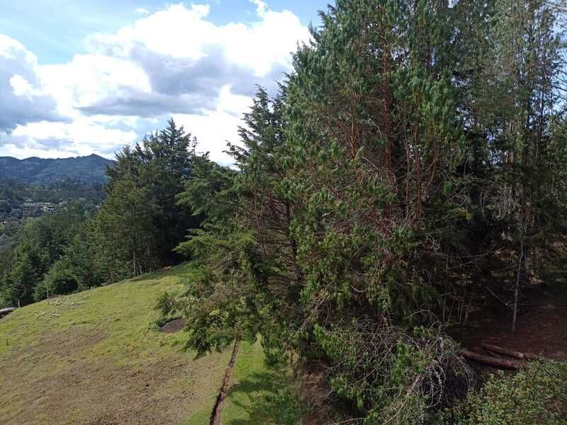 Apartaestudio en venta Antioquia El Retiro El Retiro 44 m2 Habitaciones 1 Baños 2 Garajes 1 Precio $430000000