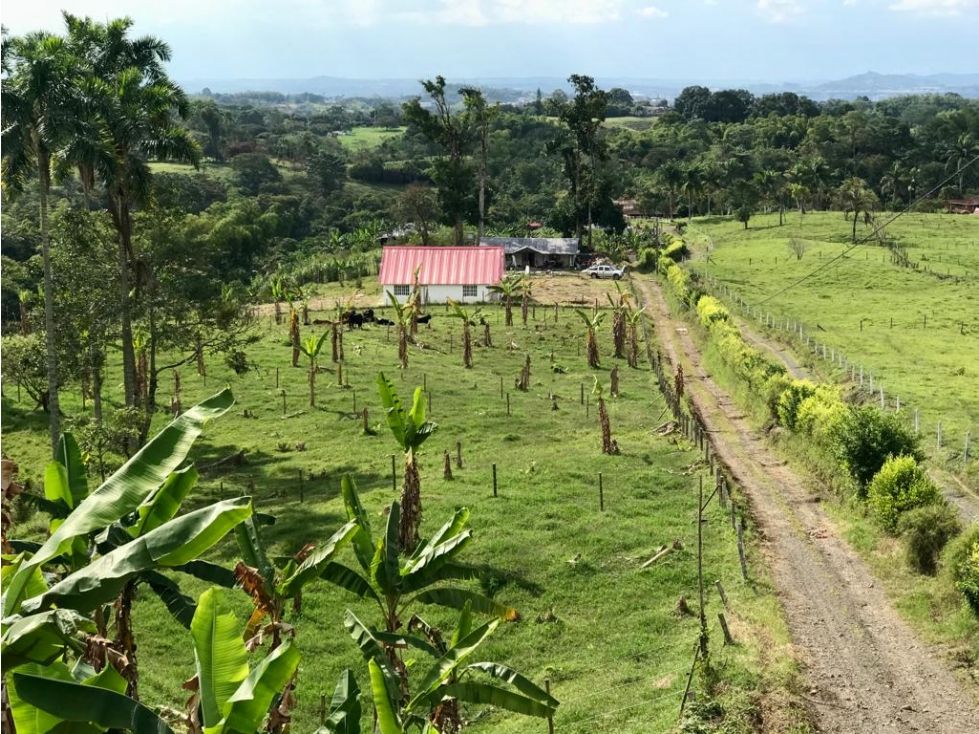 Lote en venta Caldas Risaralda Risaralda 1141 m2 Habitaciones 0 Baños 0 Garajes 0 Precio $480000000