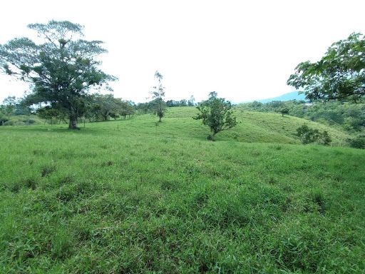 Finca en venta Risaralda Pereira Pereira 102400 m2 Habitaciones 2 Baños 0 Garajes 1 Precio $18000000000