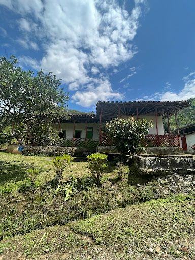 Finca en venta Risaralda Pereira Pereira 179200 m2 Habitaciones 2 Baños 0 Garajes 1 Precio $900000000