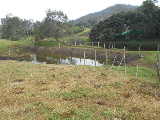 Lote en arriendo Cundinamarca Bojacá Bojaca 7852 m2 Habitaciones 0 Baños 0 Garajes 0 Precio $2500000