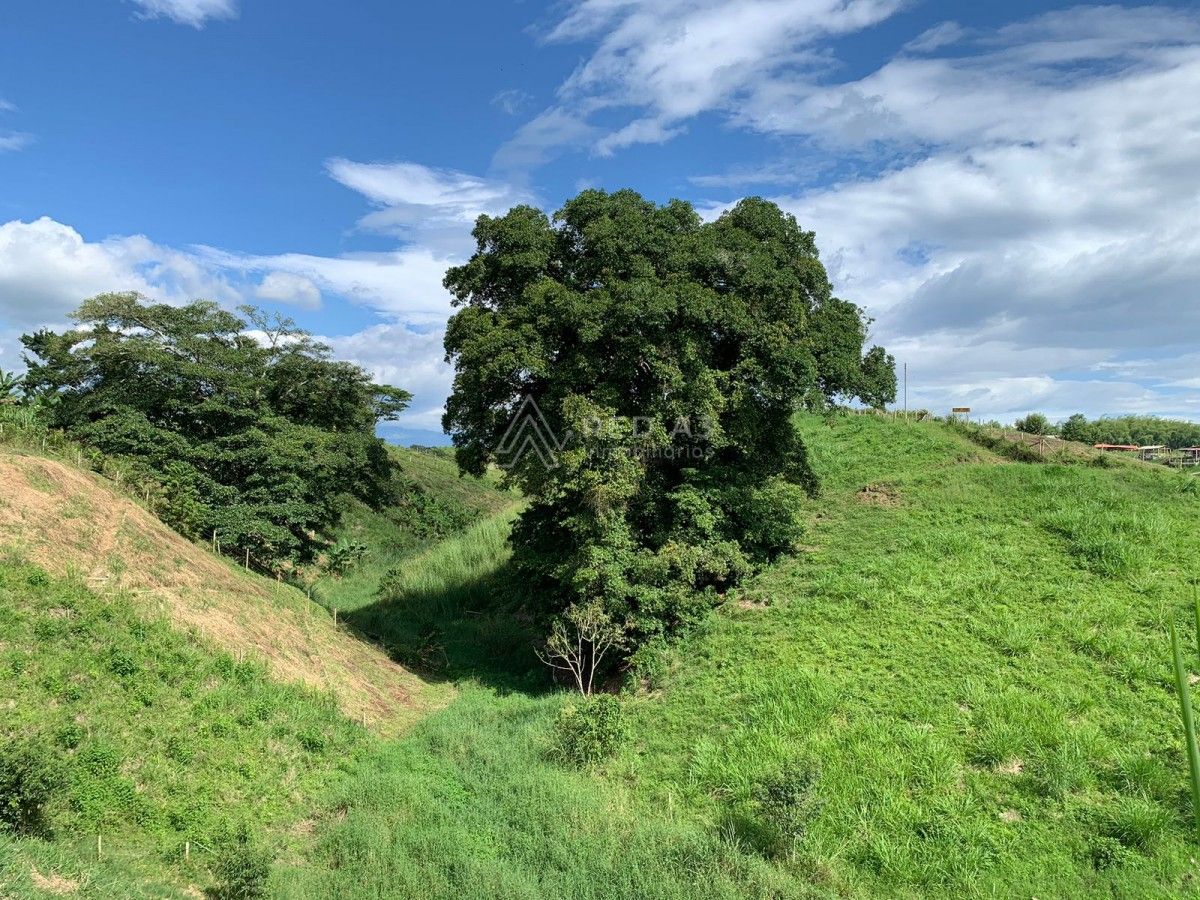 Lote en venta Valle Del Cauca Alcalá Alcala 1200 m2 Habitaciones 0 Baños 10 Garajes 1 Precio $65000000