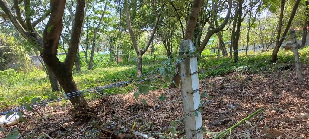 Lote en venta Valle Del Cauca Cali Parcelaciones Pance 0 m2 Habitaciones 0 Baños 0 Garajes 0 Precio $6900000000