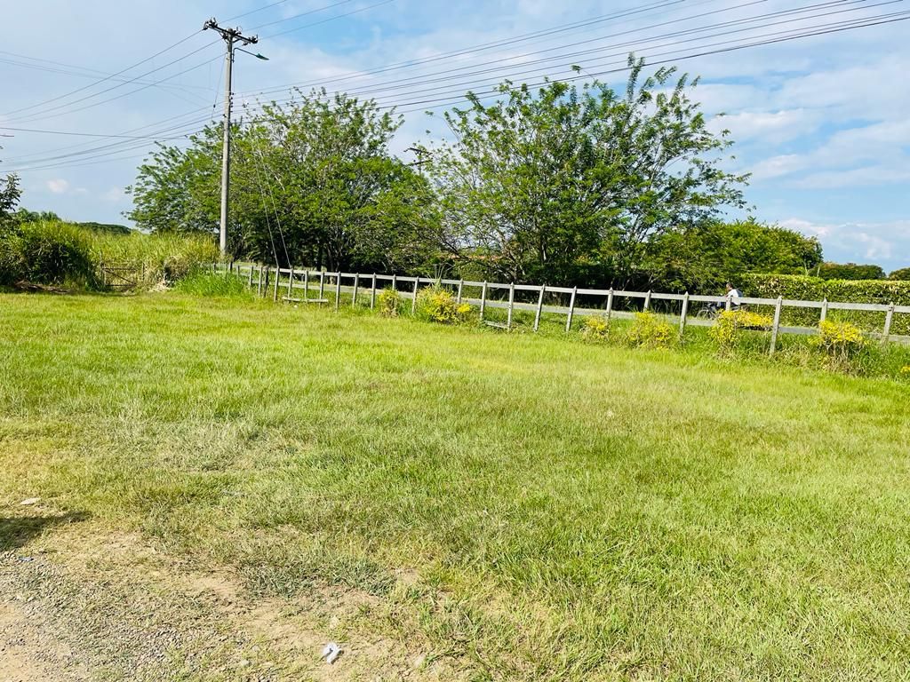 Lote en arriendo Valle Del Cauca Jamundí Juan De Ampudia 0 m2 Habitaciones 0 Baños 0 Garajes 0 Precio $20000000