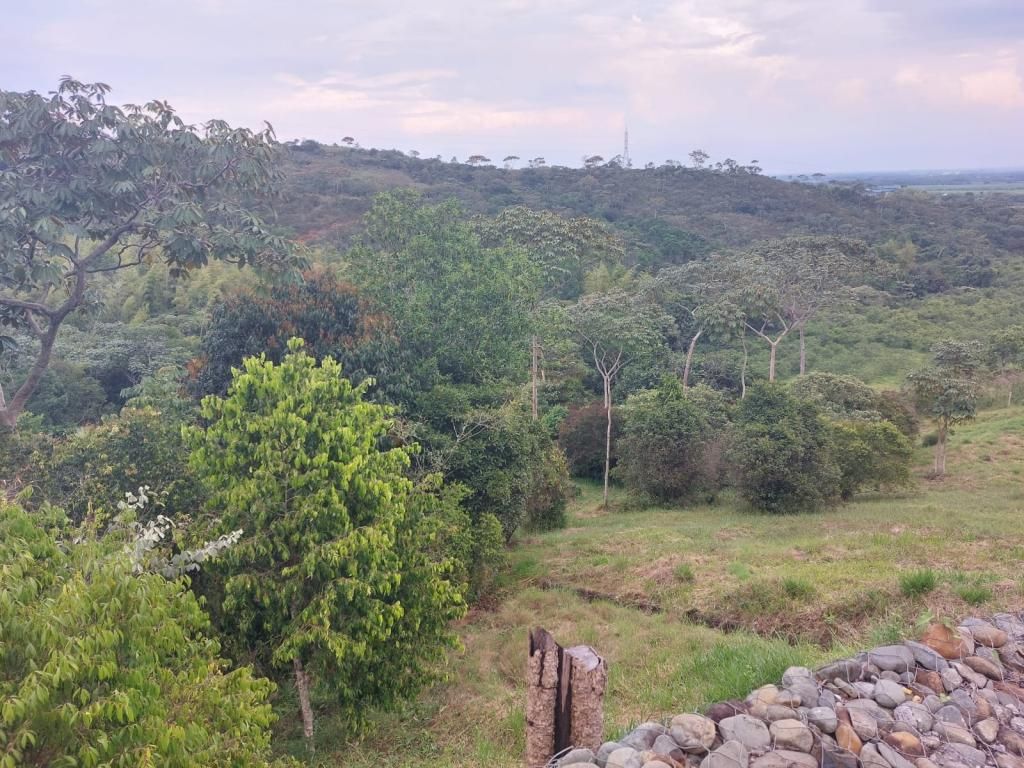 Lote en venta Valle Del Cauca Cali Cali 0 m2 Habitaciones 0 Baños 0 Garajes 0 Precio $1250000000