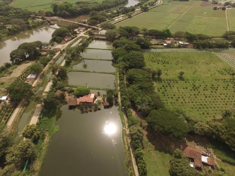 Finca en venta Valle Del Cauca La Unión La Unión 200 m2 Habitaciones 4 Baños 3 Garajes 5 Precio $3500000000