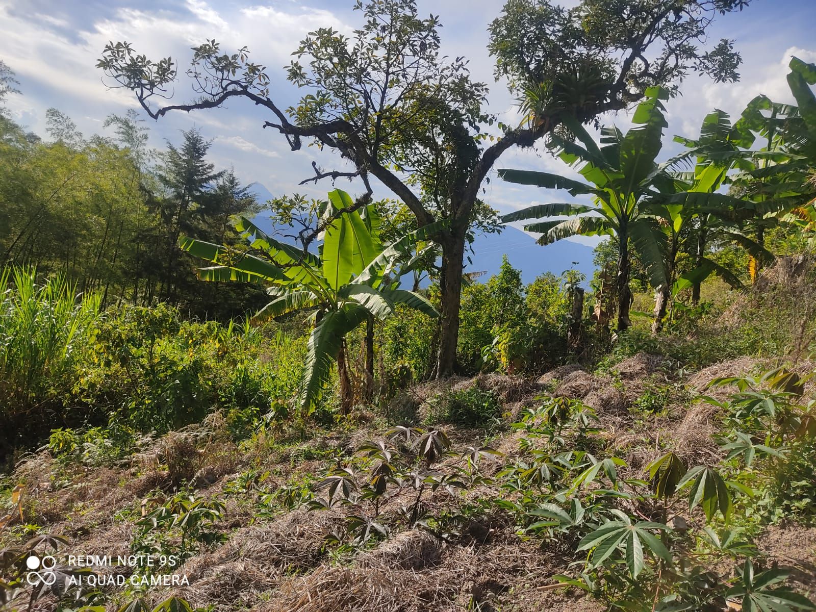 Finca en venta Antioquia Abejorral Nueva Villa Aburra 24000 m2 Habitaciones 2 Baños 0 Garajes 2 Precio $800000000