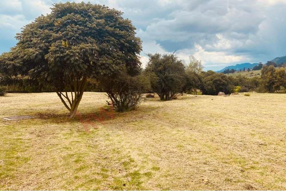 Lote en venta Cundinamarca La Calera La Calera 1727 m2 Habitaciones 0 Baños 0 Garajes 0 Precio $520000000