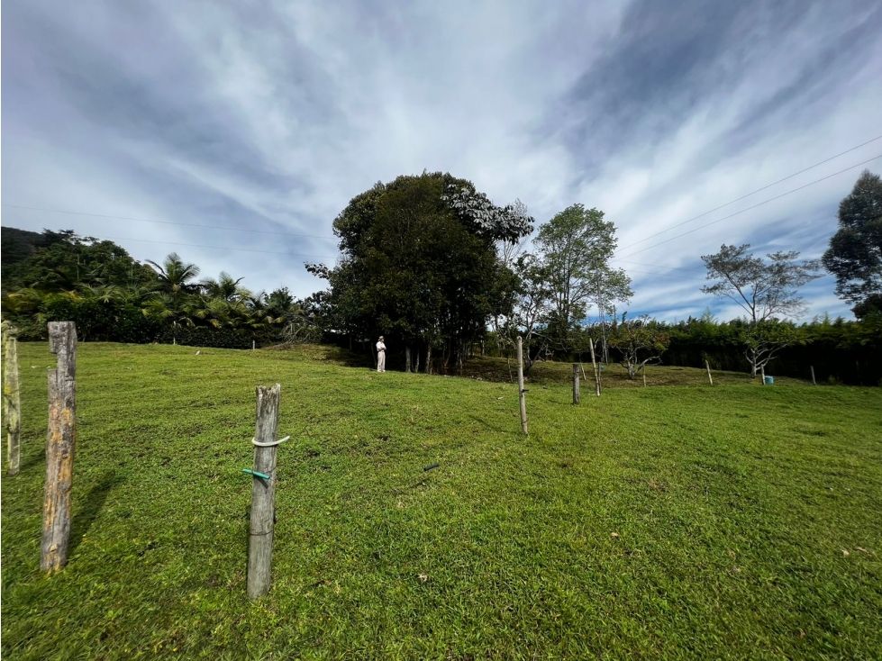 Lote en venta Antioquia La Ceja La Ceja 4502 m2 Habitaciones 0 Baños 10 Garajes 1 Precio $650000000