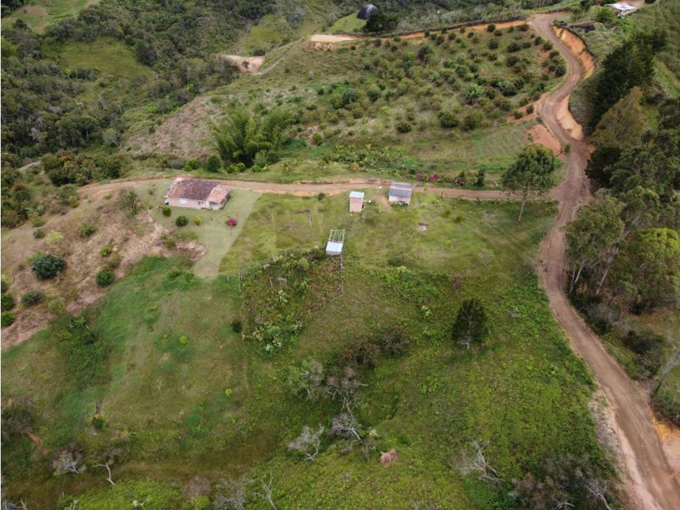 Lote en venta Antioquia San Vicente San Vicente 5000 m2 Habitaciones 0 Baños 0 Garajes 0 Precio $240000000
