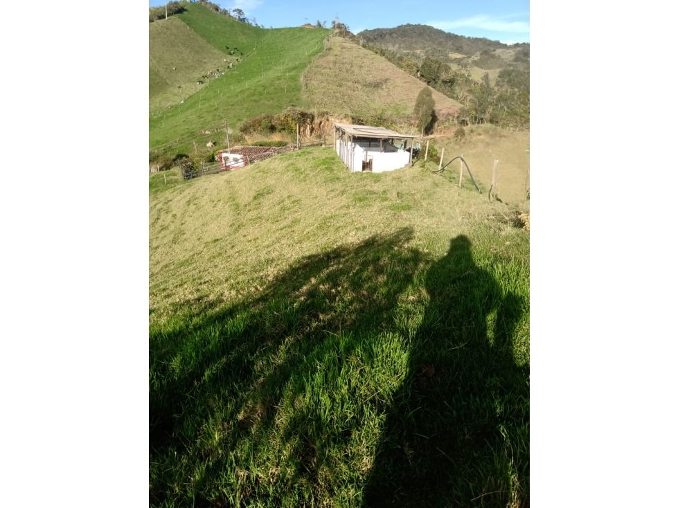 Finca en venta Antioquia La Ceja La Ceja 120 m2 Habitaciones 4 Baños 0 Garajes 2 Precio $310000000