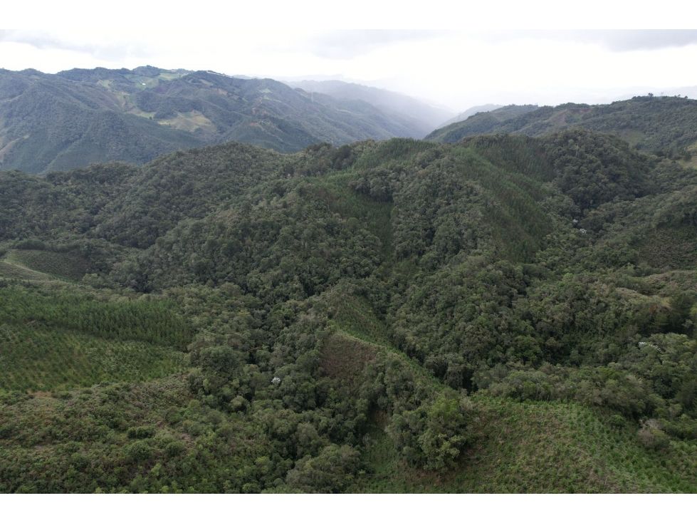 Finca en venta Antioquia Abejorral Abejorral 100 m2 Habitaciones 3 Baños 2 Garajes 0 Precio $400000000