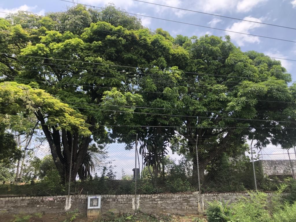 Lote en venta Valle Del Cauca Cali Urbanización Ciudad Jardín 0 m2 Habitaciones 0 Baños 0 Garajes 0 Precio $2000000000