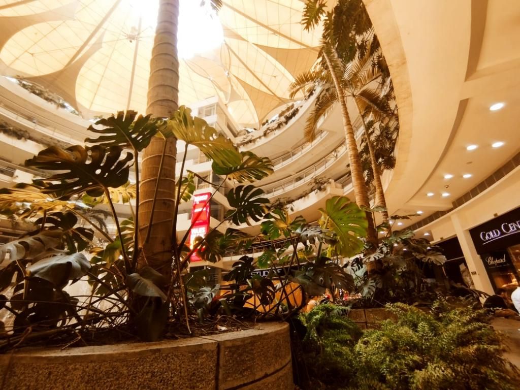 Local en venta Valle Del Cauca Cali Unicentro Cali 300 m2 Habitaciones 0 Baños 0 Garajes 0 Precio $3000000000