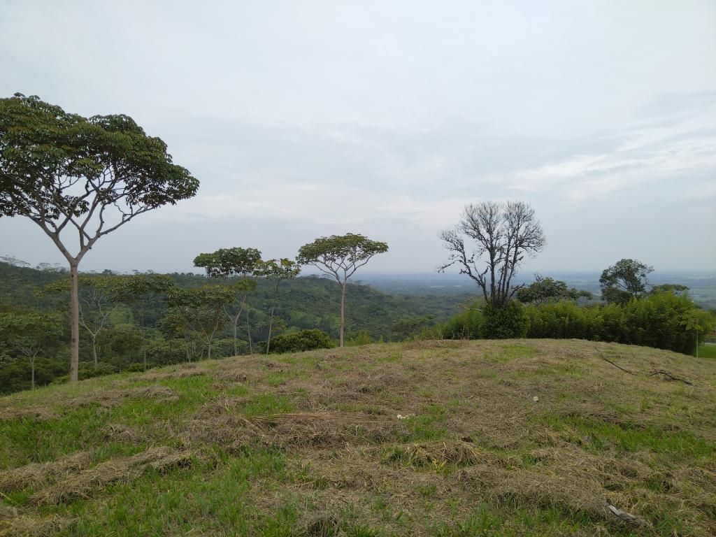 Lote en venta Valle Del Cauca Cali Junín 1 m2 Habitaciones 0 Baños 0 Garajes 0 Precio $1050000000