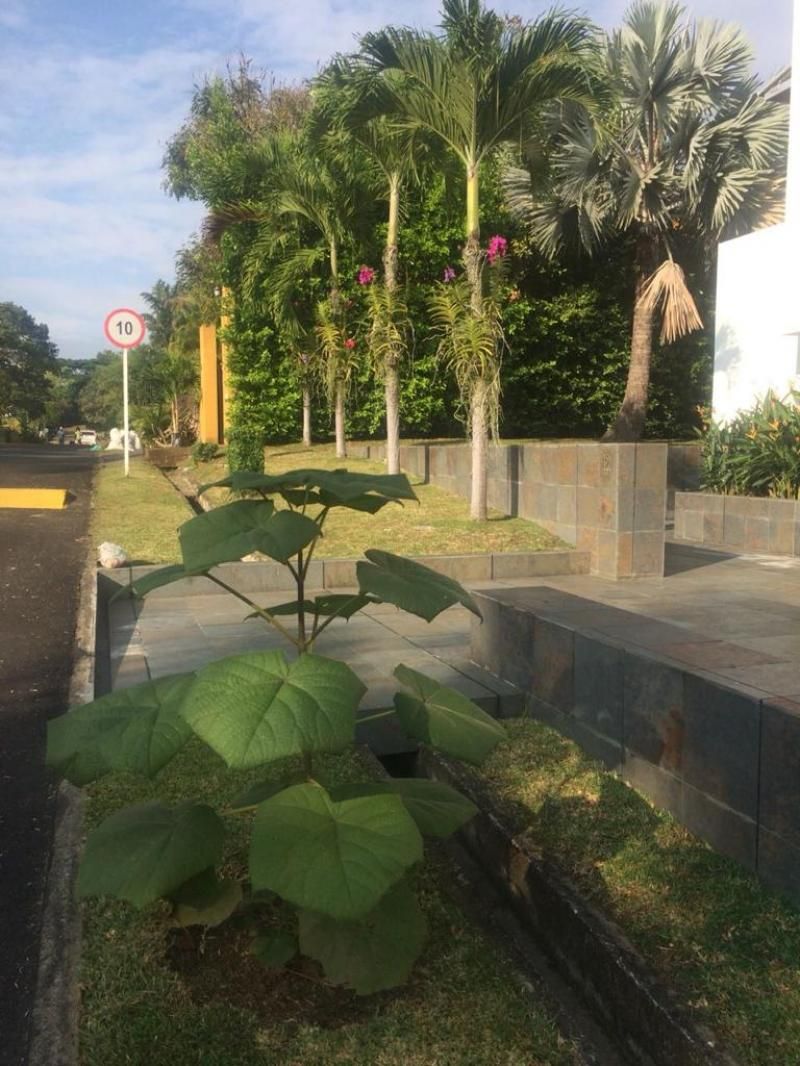 Casa en venta Valle Del Cauca Cali Junín 970 m2 Habitaciones 5 Baños 5 Garajes 0 Precio $10000000000