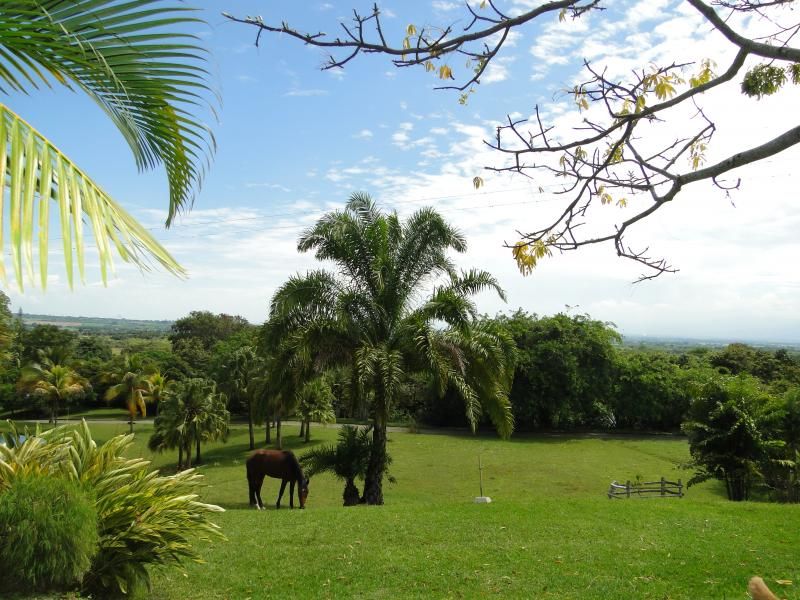 Finca en venta Valle Del Cauca El Cerrito El Cerrito 450 m2 Habitaciones 5 Baños 8 Garajes 2 Precio $5000000000