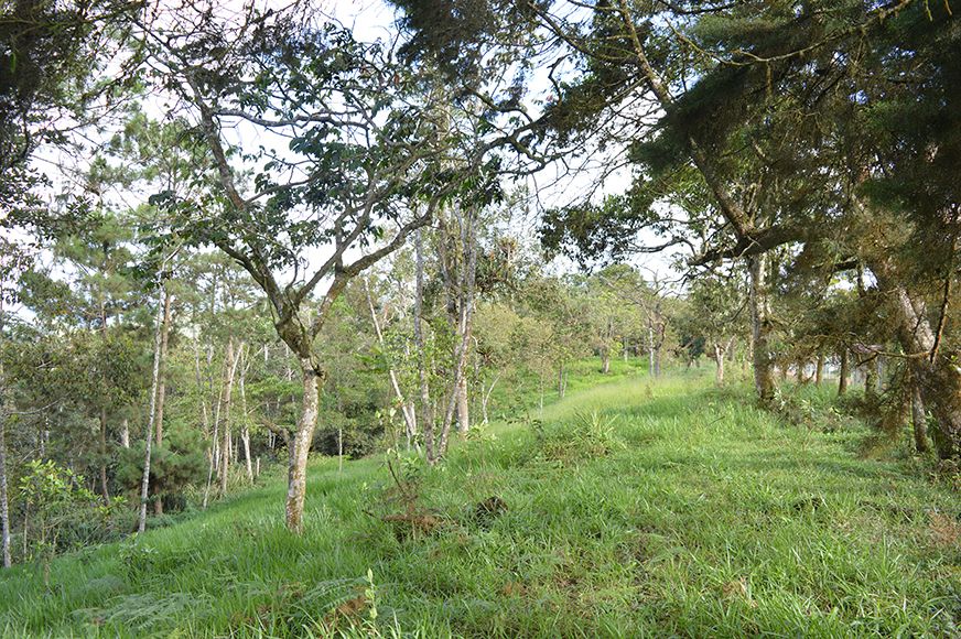 Lote en venta Valle Del Cauca Yumbo Yumbo 0 m2 Habitaciones 0 Baños 0 Garajes 0 Precio $621478000