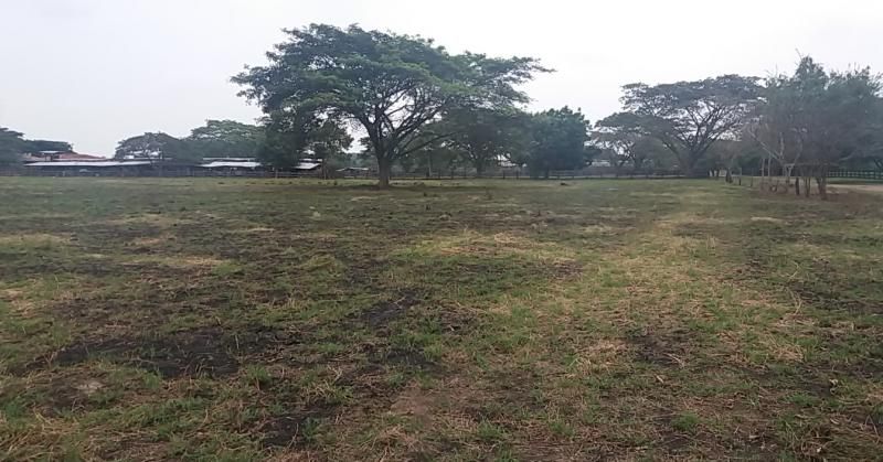 Lote en venta Valle Del Cauca Cali Cali 0 m2 Habitaciones 0 Baños 0 Garajes 0 Precio $6400000000