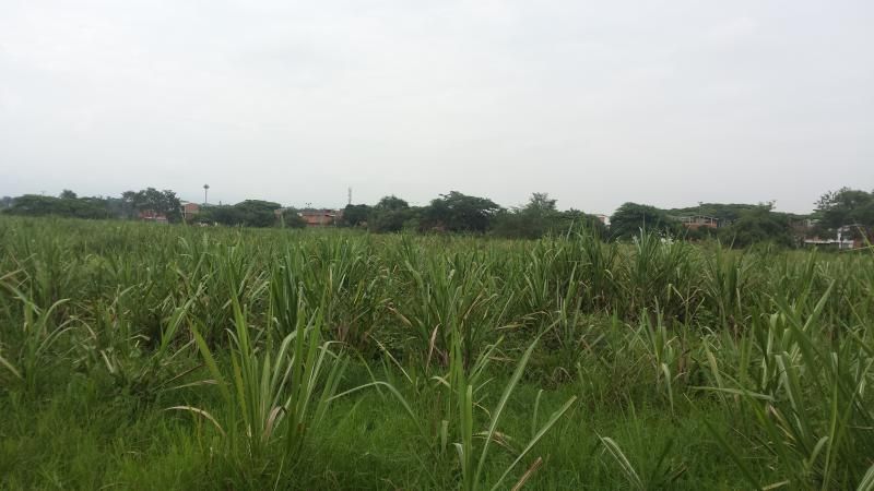 Lote en venta Valle Del Cauca Palmira Palmira 0 m2 Habitaciones 0 Baños 0 Garajes 0 Precio $3500000000